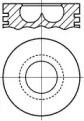 WILMINK GROUP wg1176166 -  Поршень